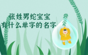 張姓男蛇寶寶有什么一個(gè)字的好名字