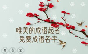 唯美的成語(yǔ)起名，免費(fèi)成語(yǔ)名字