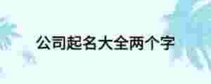 公司起名大全兩個(gè)字