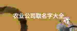 農(nóng)業(yè)公司取名字大全