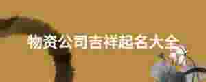 物資公司吉祥起名大全