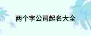 兩個字公司起名大全