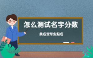 分?jǐn)?shù)測試_名字打分測試