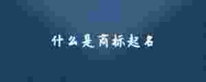什么是商標起名