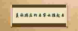 美麗端莊的名字女孩起名
