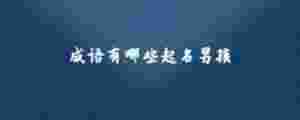 成語有哪些起名男孩