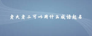 老大老二可以用什么成語起名