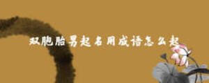 雙胞胎男起名用成語怎么起