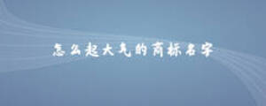 怎么起大氣的商標名字