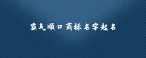 霸氣順口商標(biāo)名字起名