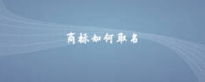 商標(biāo)如何取名