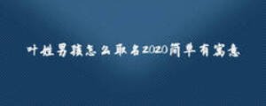 葉姓男孩怎么取名2020簡(jiǎn)單有寓意