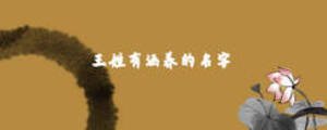 王姓有涵養的名字