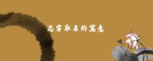 芯字取名的寓意