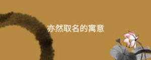 亦然取名的寓意