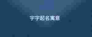 宇字起名寓意