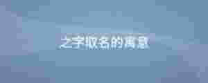 之字取名的寓意