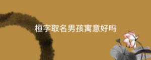 桓字取名男孩寓意好嗎