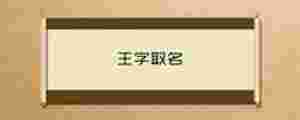 王字取名