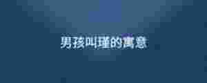 男孩叫瑾的寓意