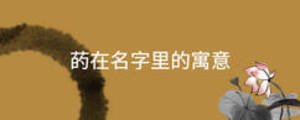 菂在名字里的寓意
