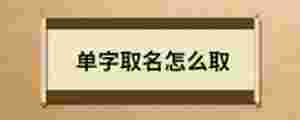 單字取名怎么取