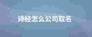 詩經怎么公司取名
