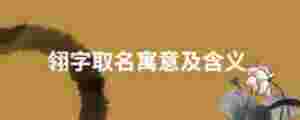 翎字取名寓意及含義