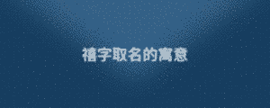 公司1 (1).png
