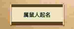 屬鼠人起名
