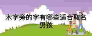 木字旁的字有哪些適合取名男孩