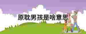 原耽男孩是啥意思
