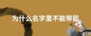 為什么名字里不能帶茹