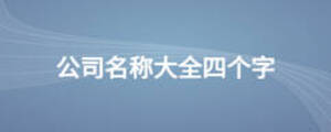 公司名稱大全四個字