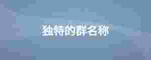 獨(dú)特的群名稱