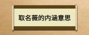 取名薇的內(nèi)涵意思