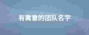 有寓意的團隊名字