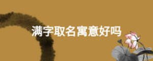 滿字取名寓意好嗎