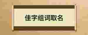 佳字組詞取名