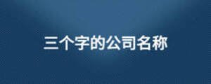 三個(gè)字的公司名稱