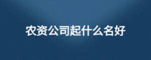 農(nóng)資公司起什么名好