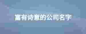 富有詩意的公司名字