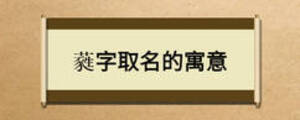 蕤字取名的寓意