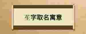 苼字取名寓意