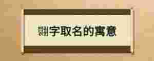 翾字取名的寓意