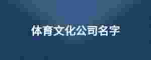 體育文化公司名字