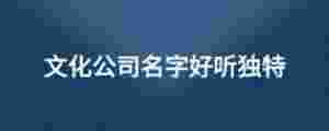 文化公司名字好聽獨特