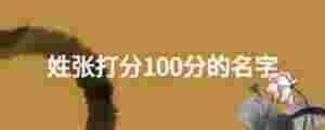 姓張打分100分的名字
