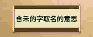 含禾的字取名的意思
