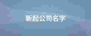 新起公司名字